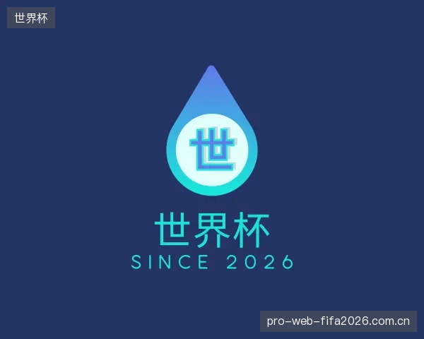 关于世界杯集团